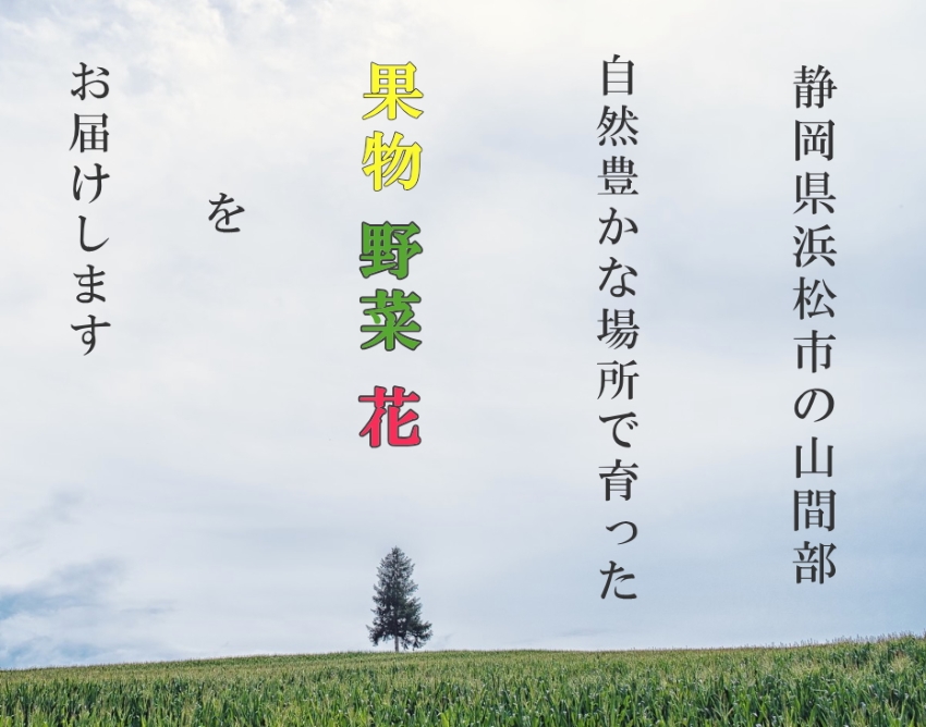 「自然豊かな場所で育った野菜・果物・花をお届けします」