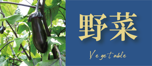 野菜一覧へ